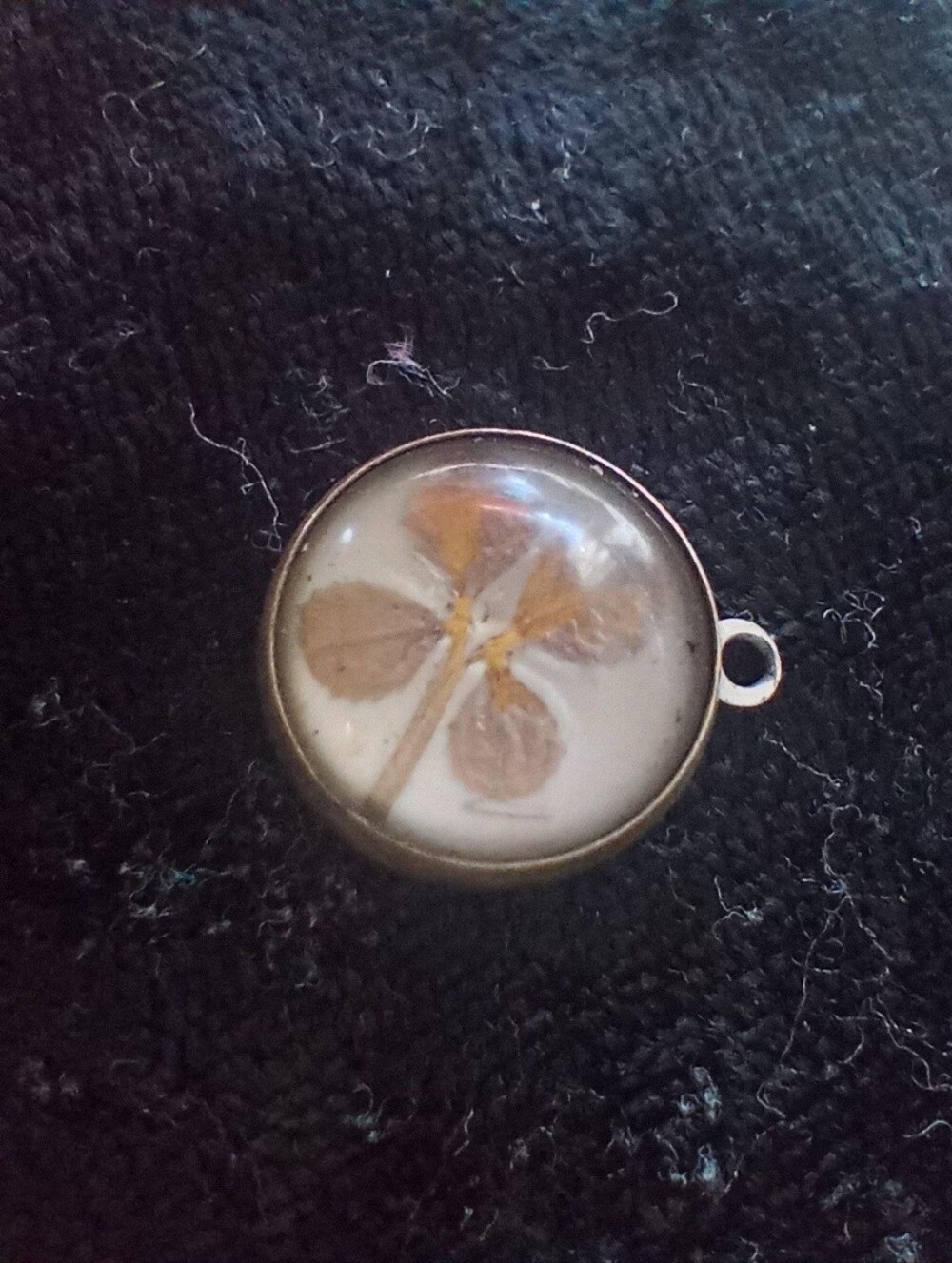 Real Four Leaf Clover Good Luck Charm